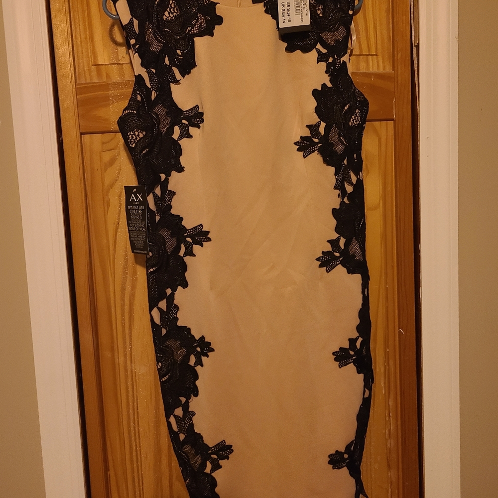 Ax Paris dress